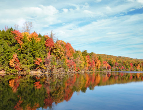 10 Things to Do in Brainerd, MN This Fall