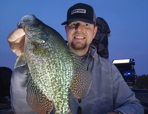 Brainerd Fishing Report: October 14, 2026